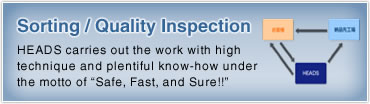 Sorting / Quality Inspection